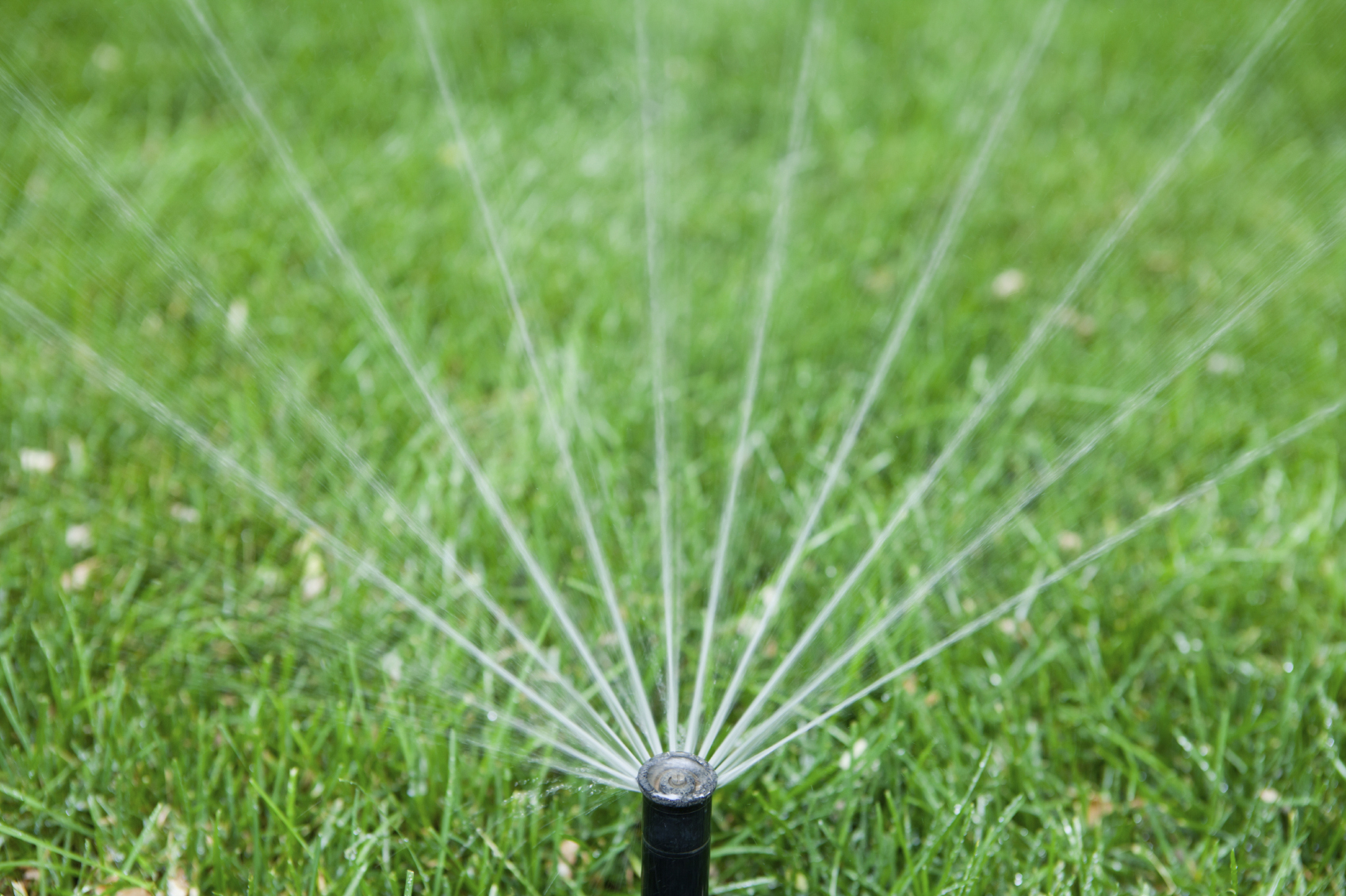 Sustainable Gardens: Water-Conserving Irrigation Solutions
